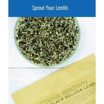 Black Lentils | Caviar or Beluga Lentils | 4 lbs | Non-GMO | Kosher | Vegan | Non-Irradiated