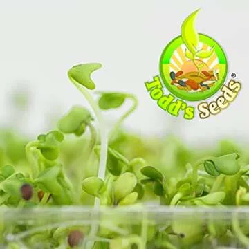 Todd’s Seeds Calabrese Broccoli Sprouting Seeds - Non-GMO