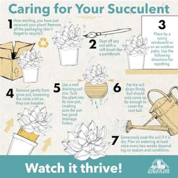 Altman Plants, Live Snake Plant, Sansevieria trifasciata Superba, Fully Rooted Indoor House Plant in Pot, Mother in Law Tongue Sansevieria Plant, Potted Succulent Plant, Houseplant in Potting Soil