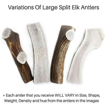 Chipper Critters Elk Antler Chew - All Natural, Made in USA