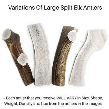 Chipper Critters Elk Antler Chew - All Natural, Made in USA