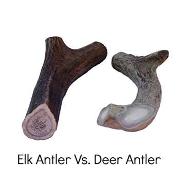 Chipper Critters Elk Antler Chew - All Natural, Made in USA