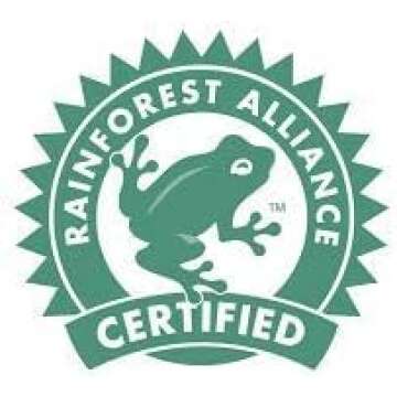 Everlasting Fling in Opal vase| Pink, Orange Aquabloom Fresh Flower Bouquet | Arabella Bouquets | Fresh Flowers for Delivery, Thanksgiving, Birthday, Congratulations