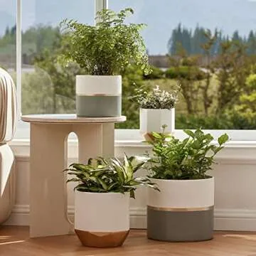 LA JOLIE MUSE Large White Ceramic Plant Pots - Garden Planters 10 + 8.1 Inch Indoor Flower Pots, Plant Containers with Gold and Grey Detailing