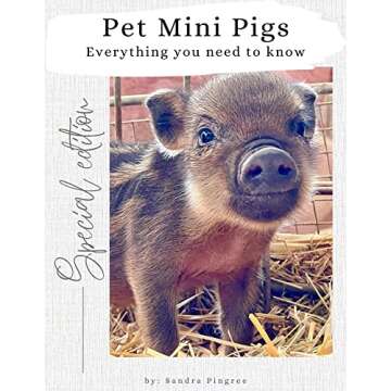 Pet Mini Pigs: Everything you need to know