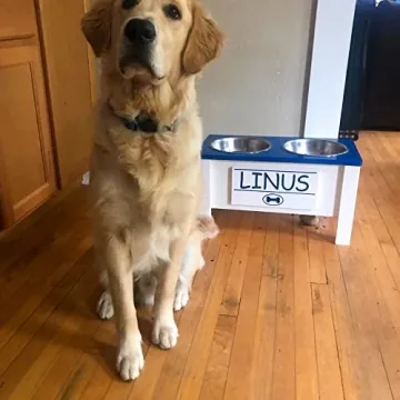 Personalized Elevated Dog Bowl Stand - Durable and Convenient