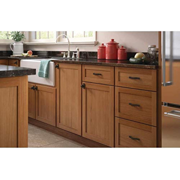 LIBERTY P28198K-FB-C Stylish Black Knob with Backplate