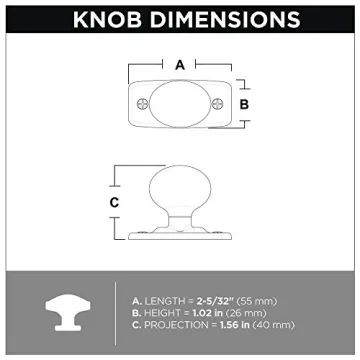 LIBERTY P28198K-FB-C Stylish Black Knob with Backplate