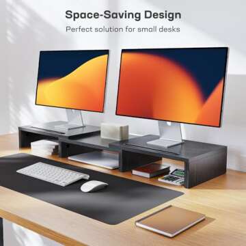 LORYERGO Dual Monitor Stand: Adjustable Ergonomic Riser