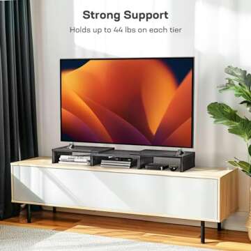 LORYERGO Dual Monitor Stand: Adjustable Ergonomic Riser