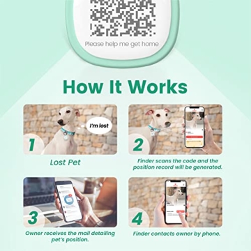 Pawaii QR Code Pet ID Tag for Enhanced Pet Safety