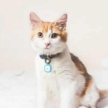 Pawaii QR Code Pet ID Tag for Enhanced Pet Safety