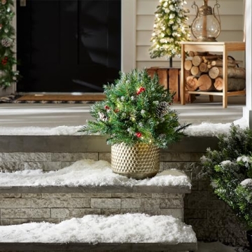 18" Frosted Urn Filler with LED Lights & Cones