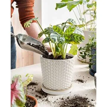 LE TAUCI Ceramic Plant Pots, 5.4 Inch Pots for Indoor Plants, Planters with Drainage Hole and Saucer...