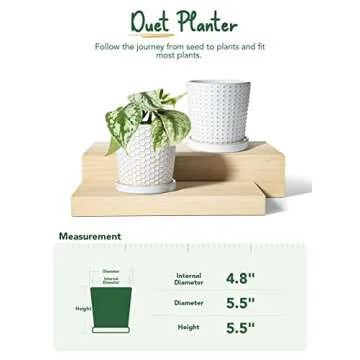 LE TAUCI Ceramic Plant Pots, 5.4 Inch Pots for Indoor Plants, Planters with Drainage Hole and Saucer, Flower Pots for Succulent, Snake Plants and Cactus, Set of 2, Reactive Glaze White