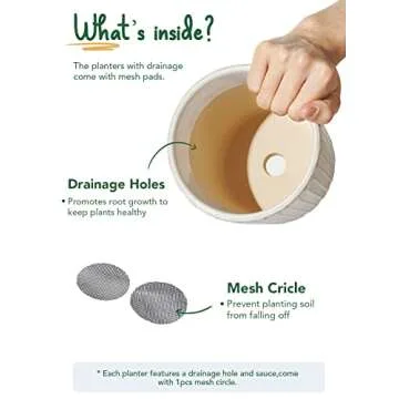 LE TAUCI Ceramic Plant Pots, 5.4 Inch Pots for Indoor Plants, Planters with Drainage Hole and Saucer, Flower Pots for Succulent, Snake Plants and Cactus, Set of 2, Reactive Glaze White