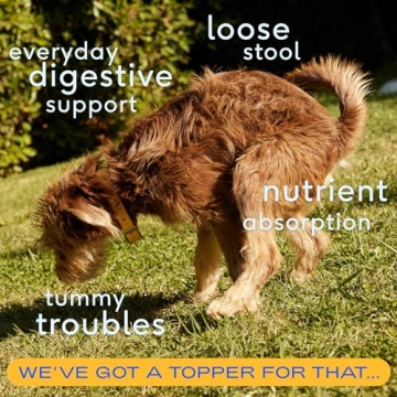 Native Pet Bone Broth & Pumpkin Powder for Dogs - Organic Topper