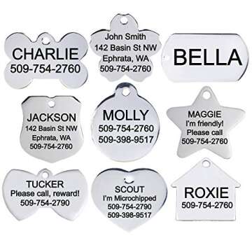 GoTags Pet ID Personalized Dog and Cat Tags. Stainless Steel. Custom Engraved with up to 8 Lines of Text. Front and Backside Engraving. Heart Shape Small.