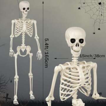 5.4Ft Life Size Halloween Skeletons - Decor for Parties