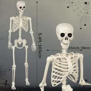 5.4Ft Life Size Halloween Skeletons - Decor for Parties