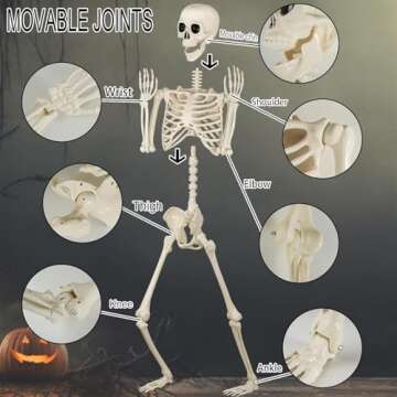 5.4Ft Life Size Halloween Skeletons - Decor for Parties