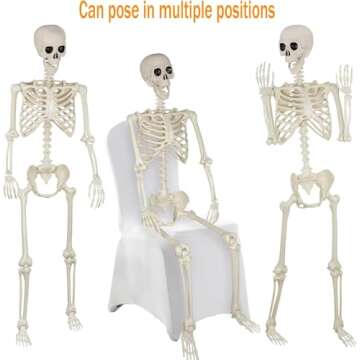 5.4Ft Life Size Halloween Skeletons - Decor for Parties