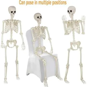 5.4Ft Life Size Halloween Skeletons - Decor for Parties