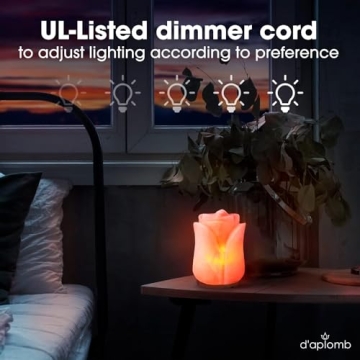 D'aplomb Authentic Himalayan Salt Lamp - Natural Air Purifier