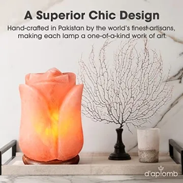 D'aplomb Authentic Himalayan Salt Lamp - Natural Air Purifier