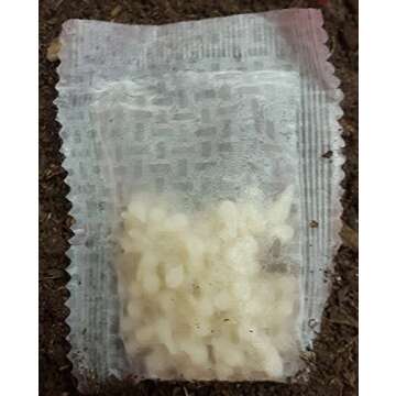 The Environmental Factor Pot Popper Organic Insect Control, Controls Fungus Gnats, Million Beneficial Nematodes (S.Feltiae), 50 Pouches per Pack - Pot Popper Gnat & Thrip Control