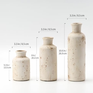Ceramic Rustic Farmhouse Vase Set of 3 for Home Decor