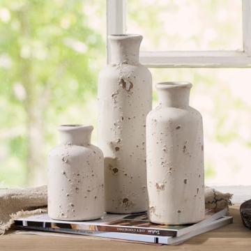 Ceramic Rustic Farmhouse Vase Set of 3 for Home Decor