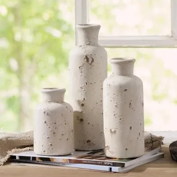 Ceramic Rustic Farmhouse Vase Set of 3 for Home Decor