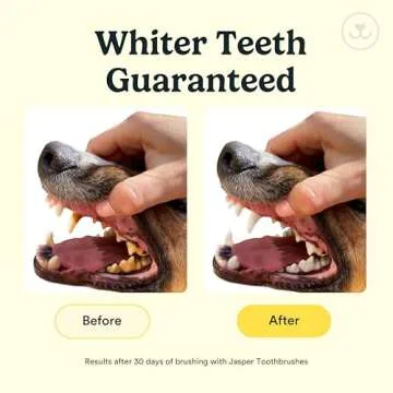 Jasper Dog Toothbrush, 360-Degree Silicone Dog Finger Toothbrush with Storage Cases, Dog Tooth Brushing Kit, Dog Teeth Cleaning Kit for Medium and Large Dogs, Use with Dog Toothpaste, 4-Pack Clear