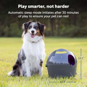 PetSafe Automatic Ball Launcher for Active Dogs