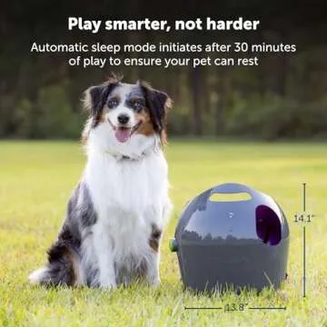 PetSafe Automatic Ball Launcher for Active Dogs