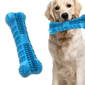 SharpClawz Dog Toothbrush Chew Toy for Medium Dogs