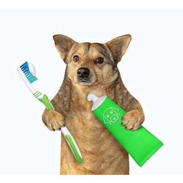 SharpClawz Dog Toothbrush Dog Chew Dental | Nontoxic, BPA Free | Natural Rubber Dog Teeth Cleaning Toy for Medium Dogs - Blue