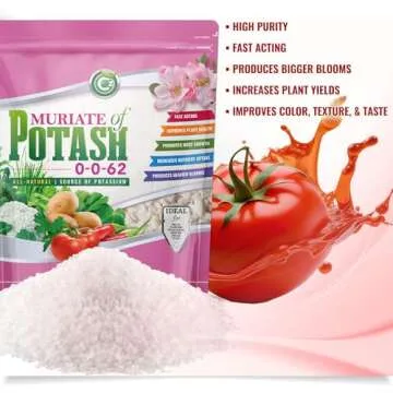 Muriate of Potash 0-0-62 Fertilizer Made in USA - MOP Potassium Plant Food for Indoor/Outdoor Plants & Flower Gardens – Promotes Big Blooms! Fruit, Vegetables, Holistic Herbs, Trees
