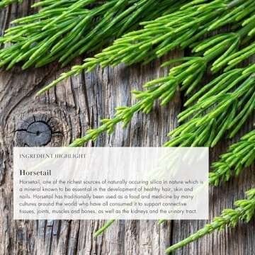 Anima Mundi Vegan Collagen Powder - Plant-Based & Organic Collagen Booster - Helps Support Collagen & Keratin Production for Healthy Skin, Hair, Joints & Bones (4oz/113g)