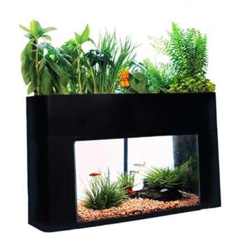 AquaSprouts Aquaponics Garden, Self-Sustaining Desktop Aquarium Hydroponics Ecosystem Kit, fits Stan...