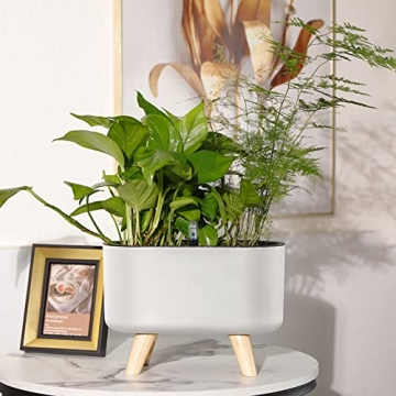 Elegant Leoly Dreaming Self-Watering Planters for All