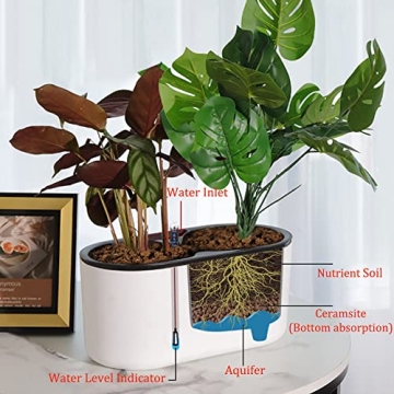 Elegant Leoly Dreaming Self-Watering Planters for All