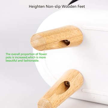 Elegant Leoly Dreaming Self-Watering Planters for All