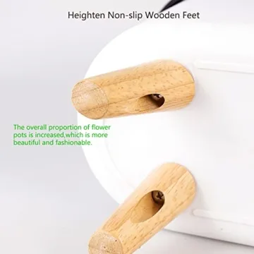 Elegant Leoly Dreaming Self-Watering Planters for All