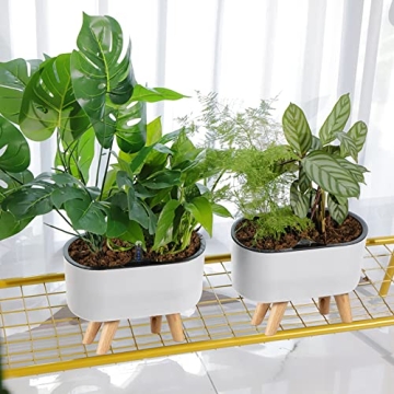 Elegant Leoly Dreaming Self-Watering Planters for All