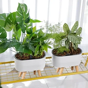Elegant Leoly Dreaming Self-Watering Planters for All