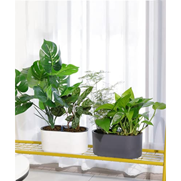 Elegant Leoly Dreaming Self-Watering Planters for All