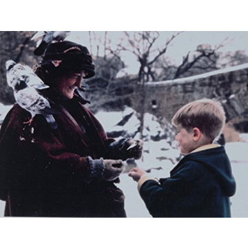 Home Alone 2 Doves Pair by John Perry - USA Made