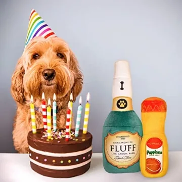 Bark Bros - Paw-mosa Mimosa Champagne OJ Plush Squeaky Dog Toy Bottle Parody Two Pack - Dog Birthday Toy - Cute Dog Toys - Dog Gifts - Puppy Gifts - Alcohol Dog Toy - Funny Dog Toy - Boy/Girl Dog Toys